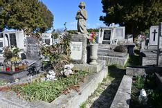 Fehérvár Médiacentrum fotója