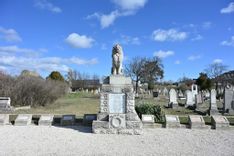 Fehérvár Médiacentrum fotója