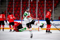 Fehérvár Médiacentrum fotója