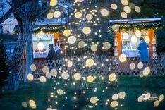 Fehérvár Médiacentrum fotója