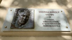 Fehérvár Médiacentrum fotója