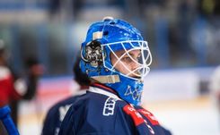 Fehérvár Médiacentrum fotója