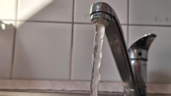 Fehérvár Médiacentrum fotója