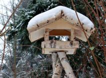 Fehérvár Médiacentrum fotója