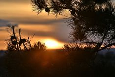 Fehérvár Médiacentrum fotója