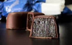 Fehérvár Médiacentrum fotója