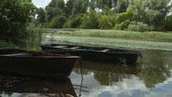 Fehérvár Médiacentrum fotója