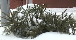 Fehérvár Médiacentrum fotója