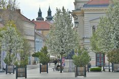 Fehérvár Médiacentrum fotója