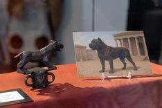 Fehérvár Médiacentrum fotója