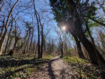 Fehérvár Médiacentrum fotója