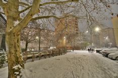 Fehérvár Médiacentrum fotója