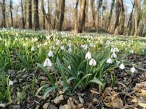 Fehérvár Médiacentrum fotója