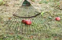 Fehérvár Médiacentrum fotója