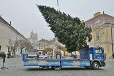 Fehérvár Médiacentrum fotója