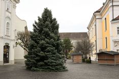 Fehérvár Médiacentrum fotója