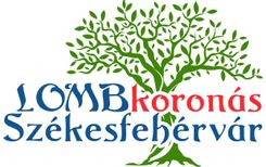 Fehérvár Médiacentrum fotója