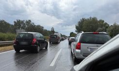 Fehérvár Médiacentrum fotója
