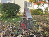 Fehérvár Médiacentrum fotója