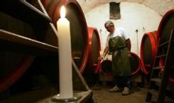 Fehérvár Médiacentrum fotója