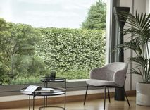 Fehérvár Médiacentrum fotója