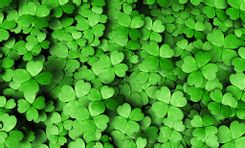 Fehérvár Médiacentrum fotója