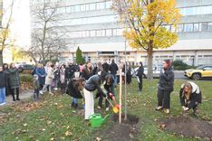 Fehérvár Médiacentrum fotója