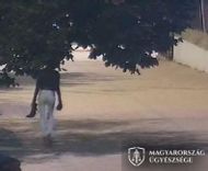Fehérvár Médiacentrum fotója