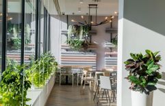 Fehérvár Médiacentrum fotója