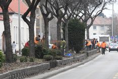 Fehérvár Médiacentrum fotója