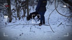 Fehérvár Médiacentrum fotója