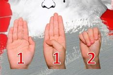 Fehérvár Médiacentrum fotója