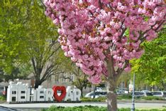 Fehérvár Médiacentrum fotója