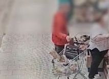 Fehérvár Médiacentrum fotója