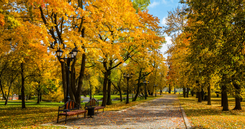 Fehérvár Médiacentrum fotója