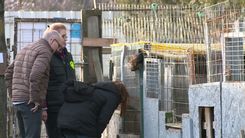 Fehérvár Médiacentrum fotója