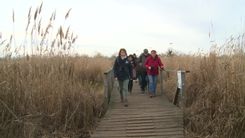 Fehérvár Médiacentrum fotója