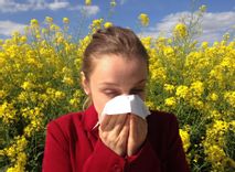 Fehérvár Médiacentrum fotója