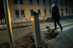 Fehérvár Médiacentrum fotója