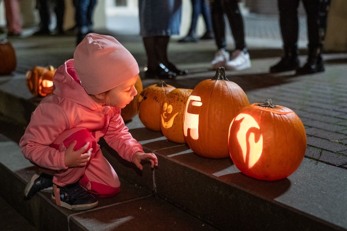 Fehérvár Médiacentrum fotója