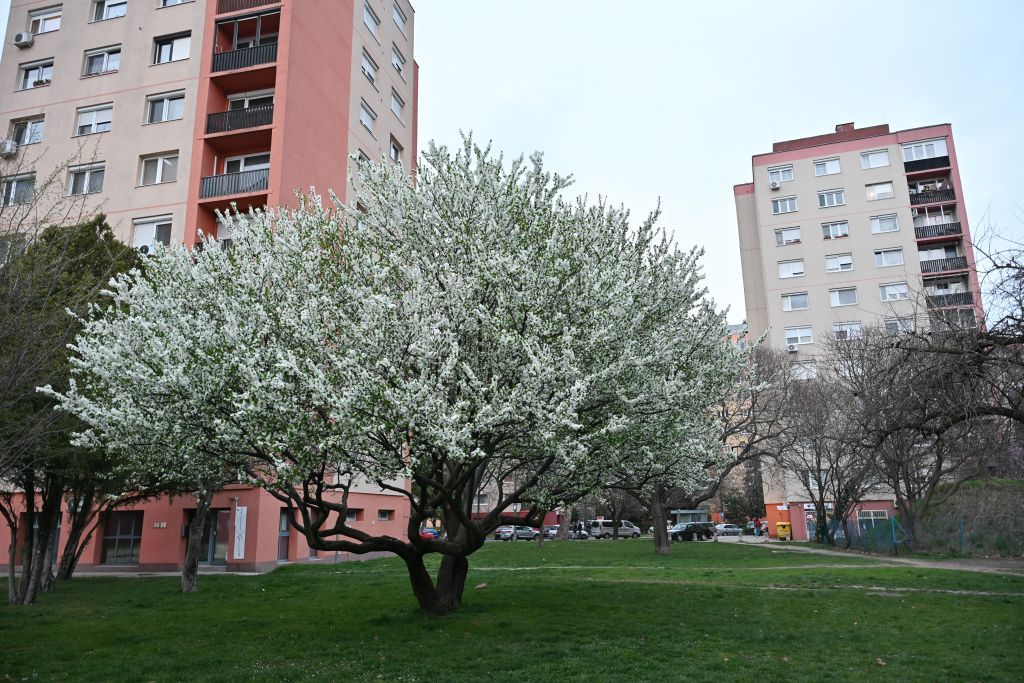 Fehérvár Médiacentrum fotója