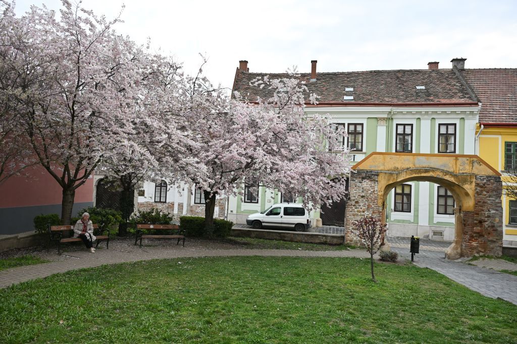 Fehérvár Médiacentrum fotója