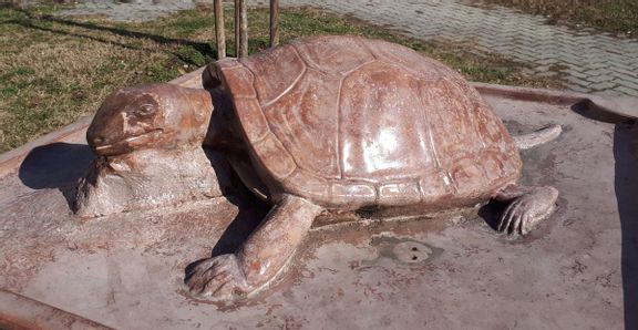 Fehérvár Médiacentrum fotója