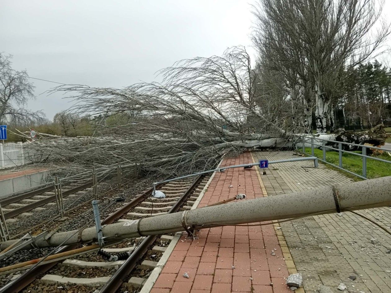Fehérvár Médiacentrum fotója